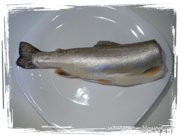 pastrav_in_folie_pe_grill (1)